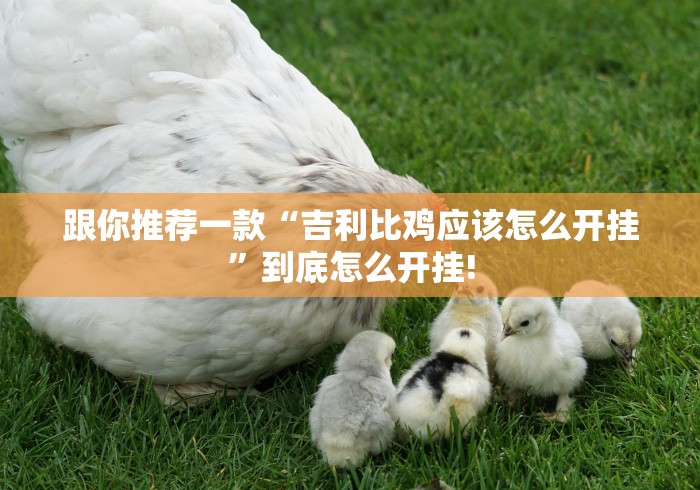 跟你推荐一款“吉利比鸡应该怎么开挂”到底怎么开挂!