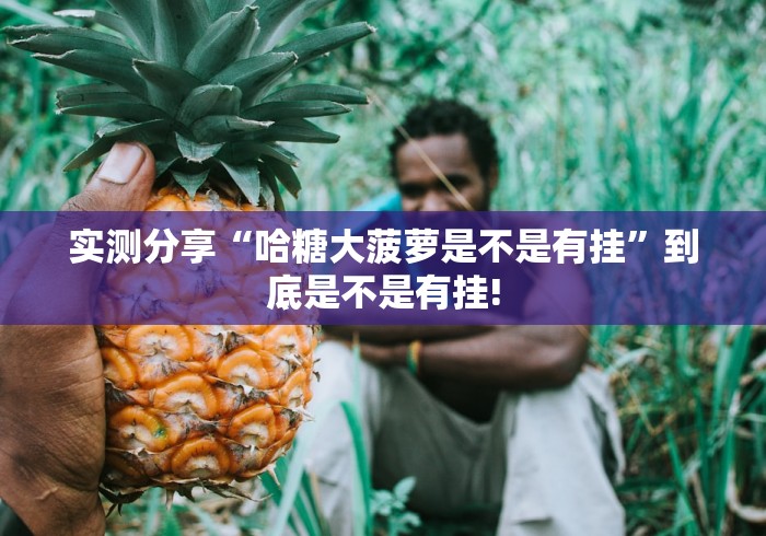 实测分享“哈糖大菠萝是不是有挂”到底是不是有挂!