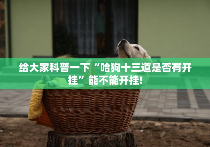 给大家科普一下“哈狗十三道是否有开挂”能不能开挂!