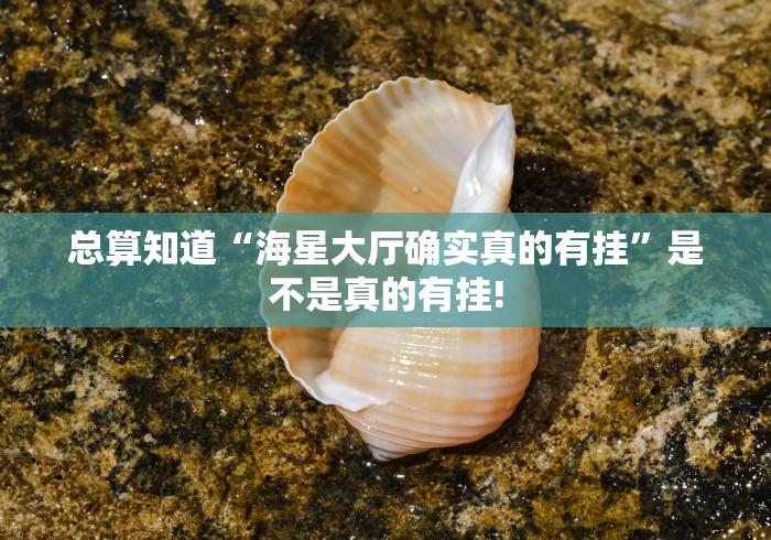 总算知道“海星大厅确实真的有挂”是不是真的有挂!