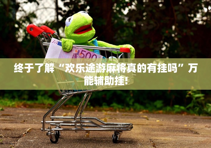 终于了解“欢乐途游麻将真的有挂吗”万能辅助挂!