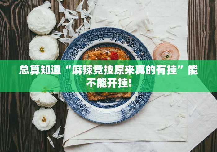 总算知道“麻辣竞技原来真的有挂”能不能开挂!