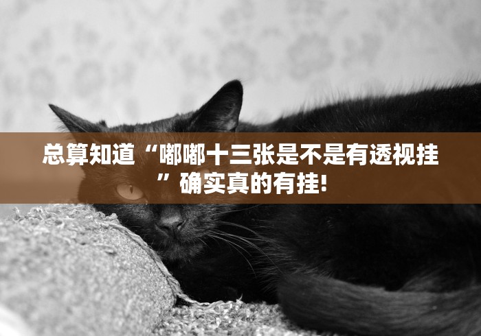 总算知道“嘟嘟十三张是不是有透视挂”确实真的有挂!