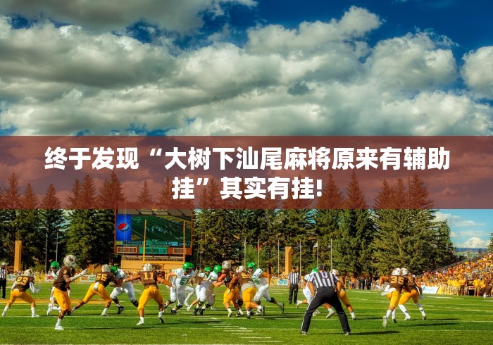 终于发现“大树下汕尾麻将原来有辅助挂”其实有挂!