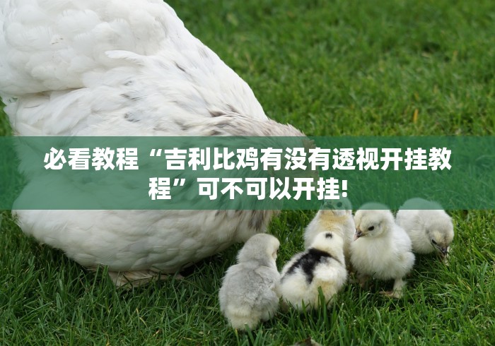 必看教程“吉利比鸡有没有透视开挂教程”可不可以开挂!