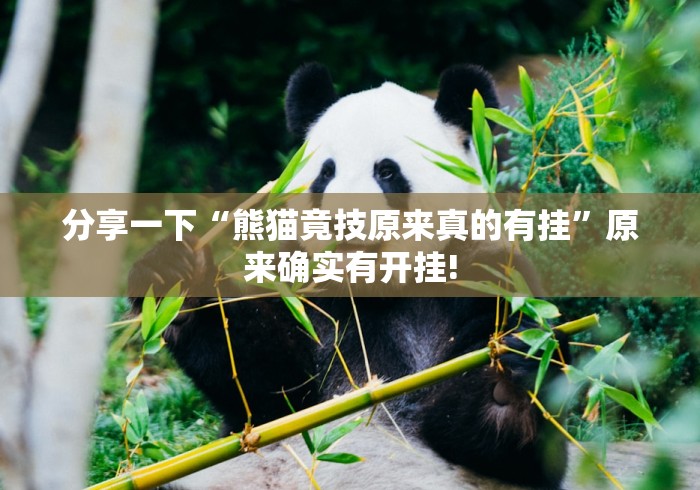 分享一下“熊猫竟技原来真的有挂”原来确实有开挂!