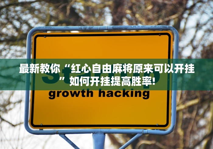 最新教你“红心自由麻将原来可以开挂”如何开挂提高胜率!