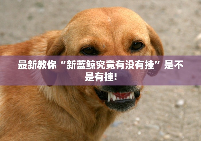 最新教你“新蓝鲸究竟有没有挂”是不是有挂!