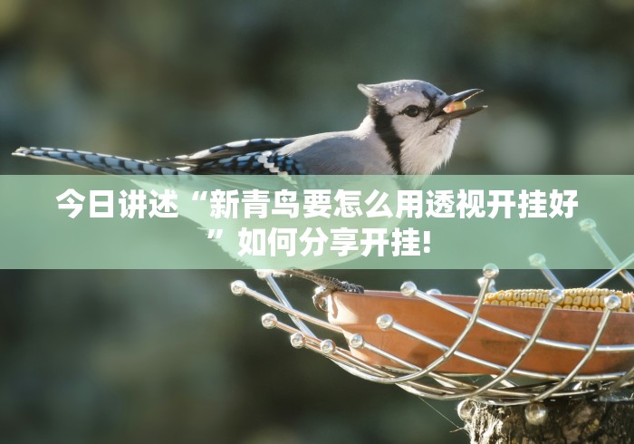 今日讲述“新青鸟要怎么用透视开挂好”如何分享开挂!