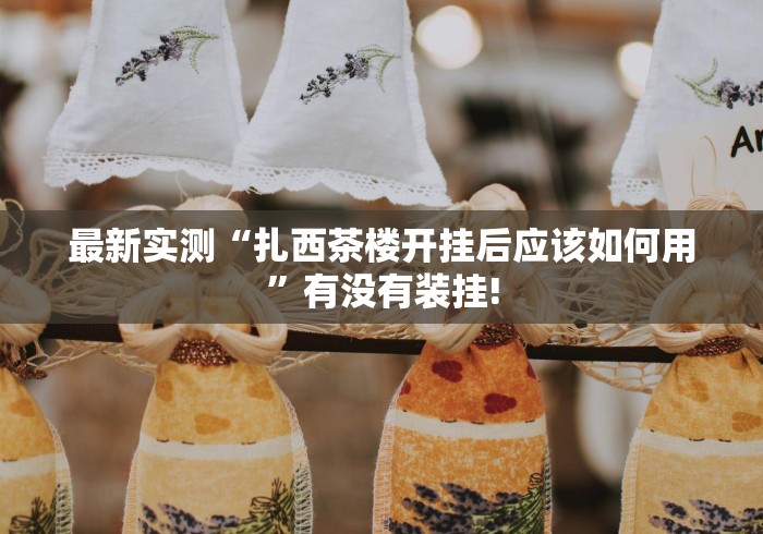 最新实测“扎西茶楼开挂后应该如何用”有没有装挂!