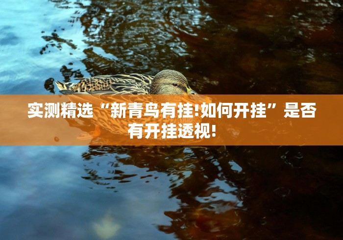 实测精选“新青鸟有挂!如何开挂”是否有开挂透视!