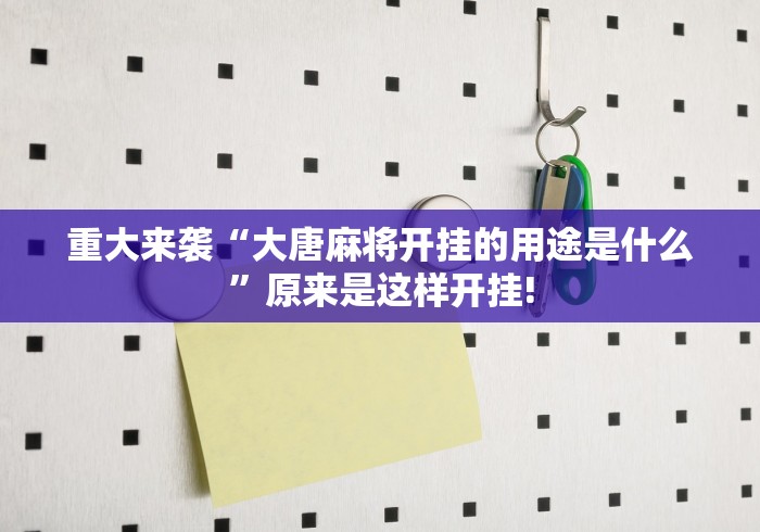 重大来袭“大唐麻将开挂的用途是什么”原来是这样开挂! 重大来袭“大唐麻将开挂的用途是什么”原来是这样开挂!