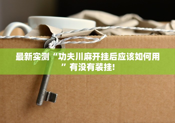 最新实测“功夫川麻开挂后应该如何用”有没有装挂!