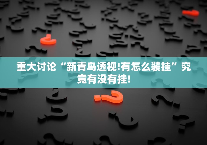 重大讨论“新青鸟透视!有怎么装挂”究竟有没有挂!