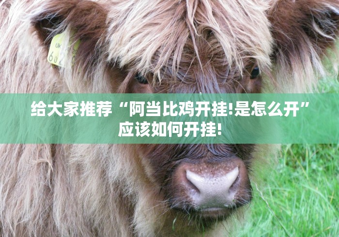 给大家推荐“阿当比鸡开挂!是怎么开”应该如何开挂!