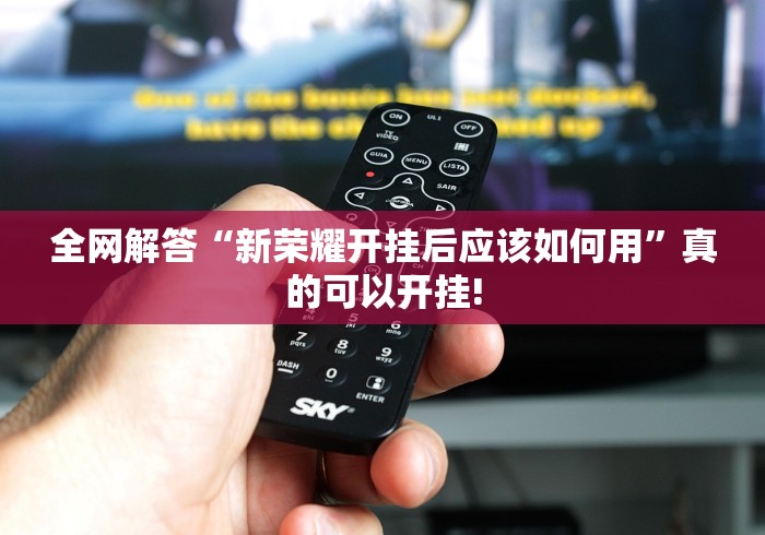 全网解答“新荣耀开挂后应该如何用”真的可以开挂!