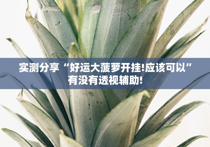 实测分享“好运大菠萝开挂!应该可以”有没有透视辅助! 实测分享“好运大菠萝开挂!应该可以”有没有透视辅助!