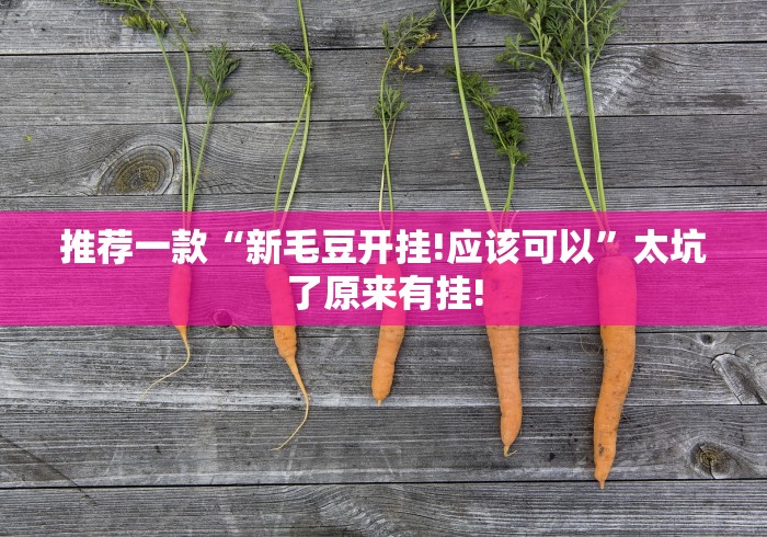 推荐一款“新毛豆开挂!应该可以”太坑了原来有挂! 推荐一款“新毛豆开挂!应该可以”太坑了原来有挂!